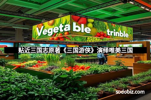 贴近三国志原著《三国游侠》演绎唯美三国